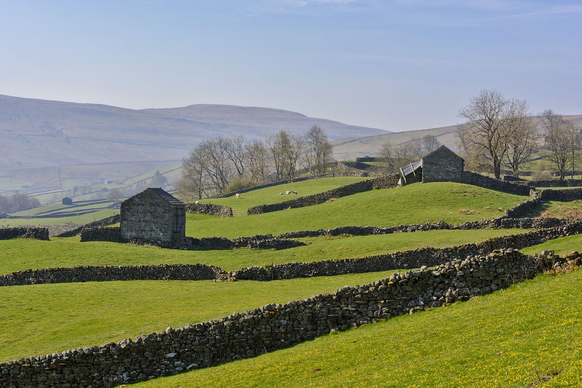 Walls and barns, Swaledale, Yorkshire Dales NP