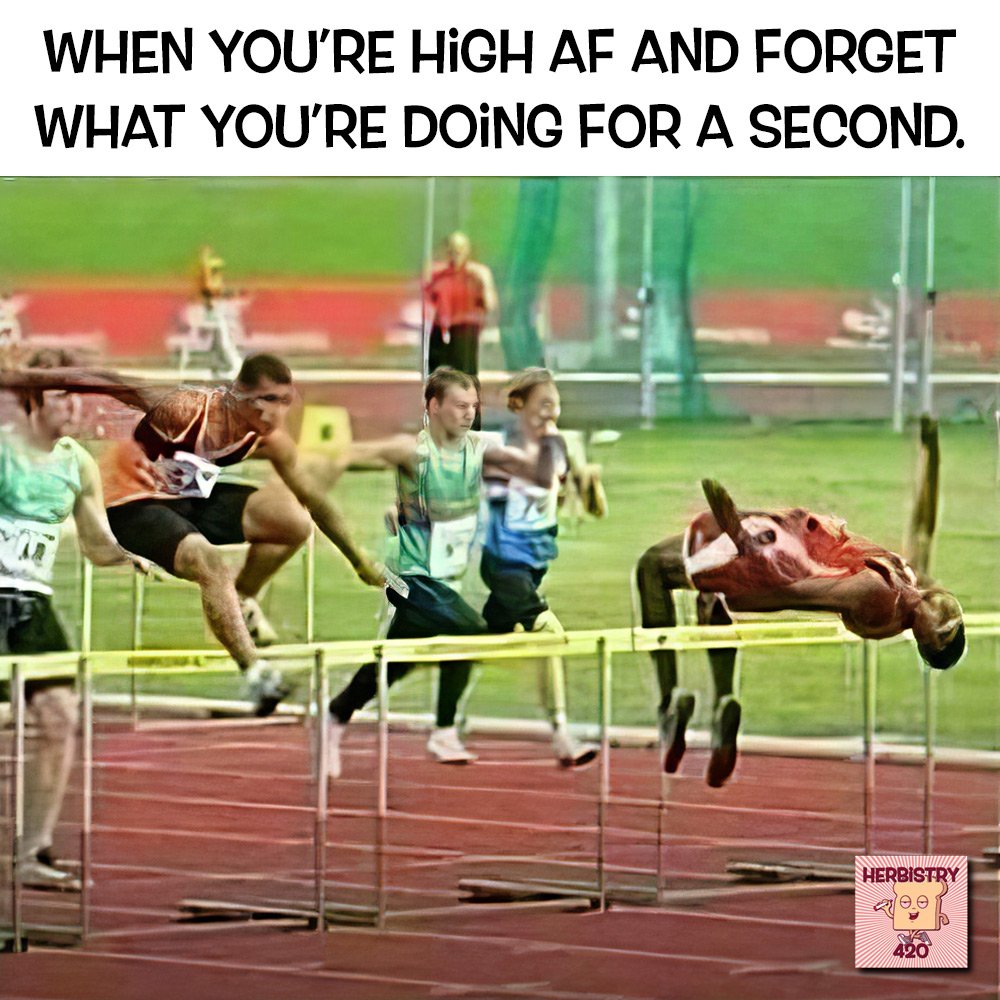Herbistry420's tweet photo. It happens 🤷😂
.
#dabpen #areyouhigh #howhighareyou #howhighareyouchallenge #munchies420 #munchies #highaf #stoned #cannabisinfluencer #CannabisCommunity #meme #memes https://t.co/F4TKmeTbkC