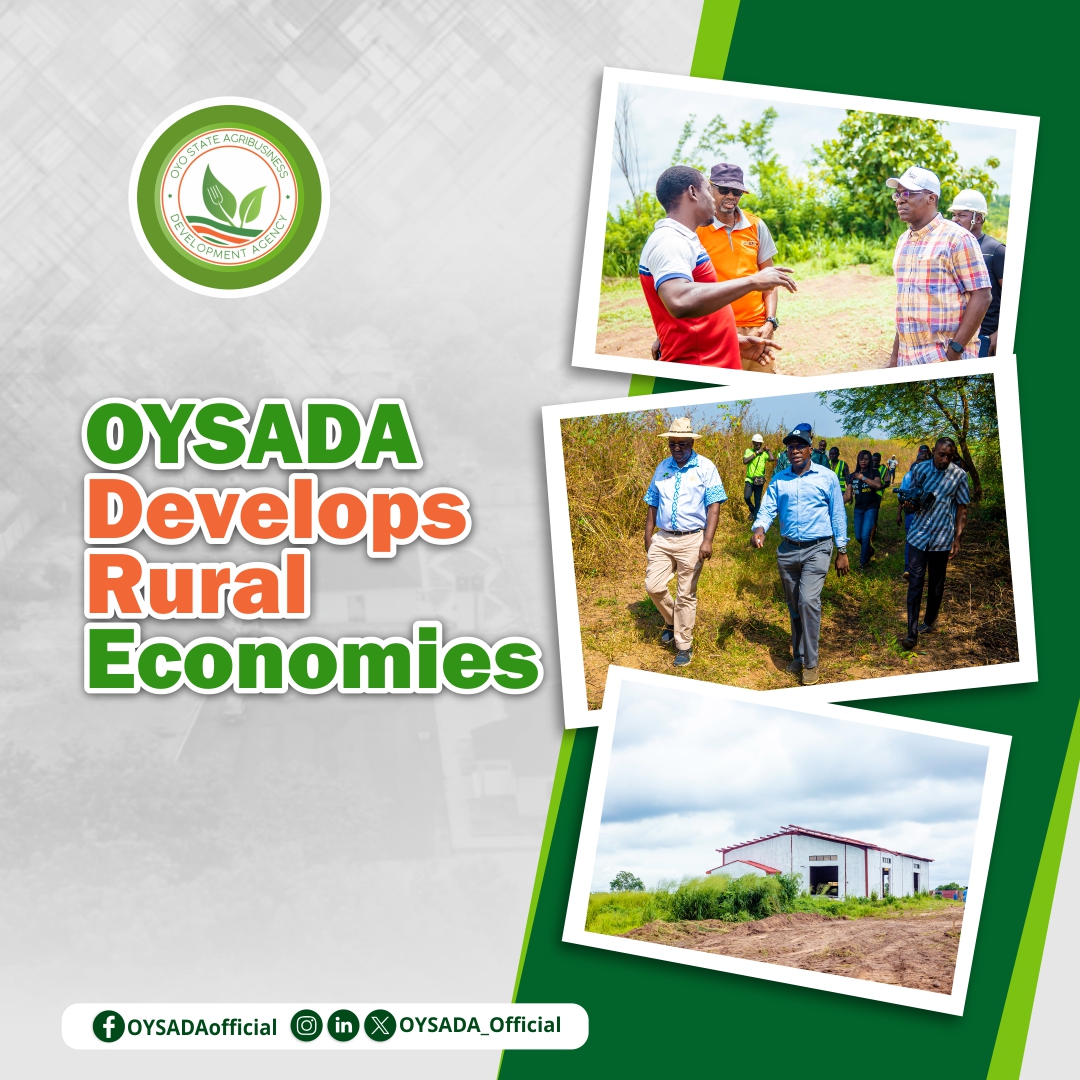 OYSADA develops rural economies by attracting medium and large-scale agribusinesses to rural communities.
Can you name one of these businesses that OYSADA has attracted?