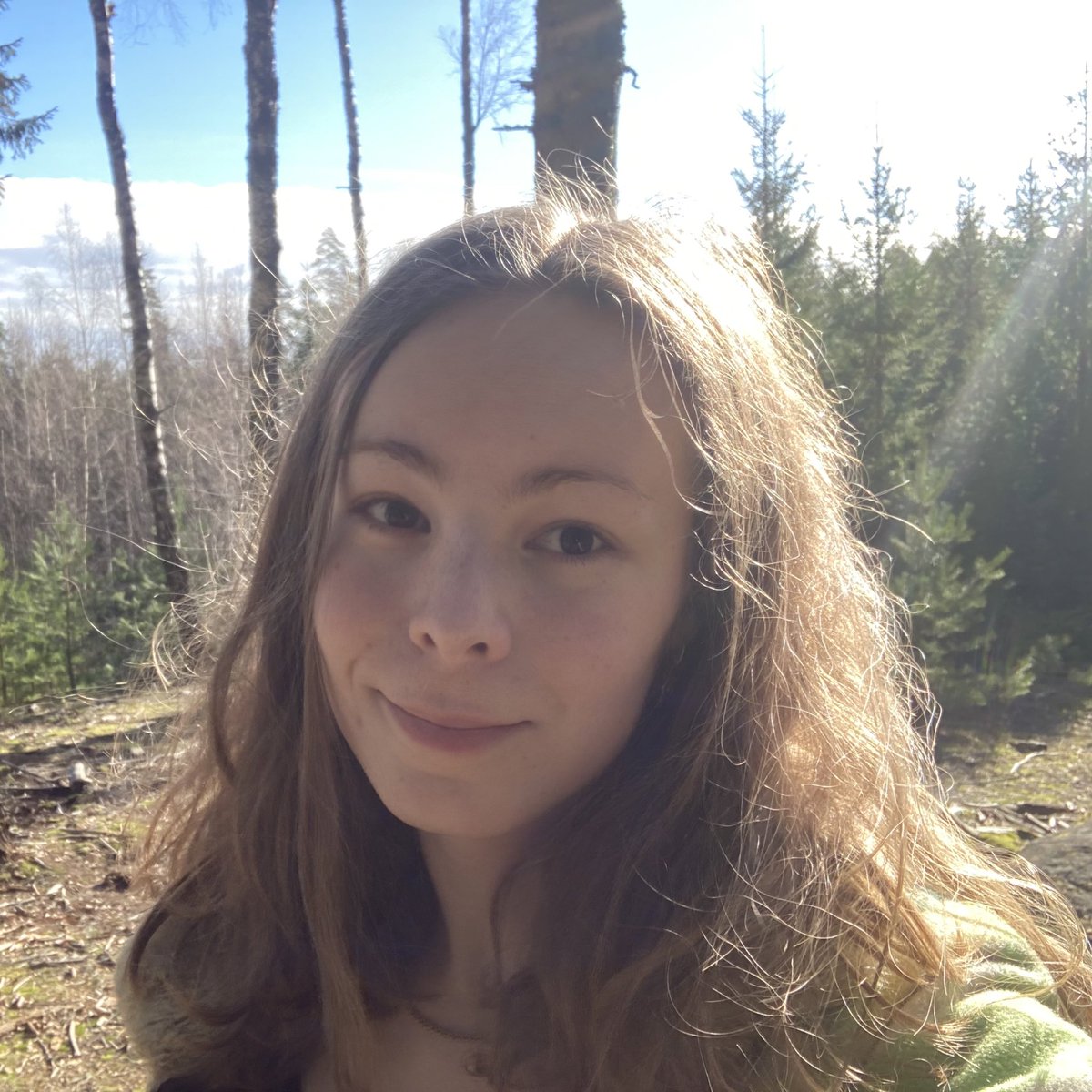 Lente ⛵ dev on a boat tweet media