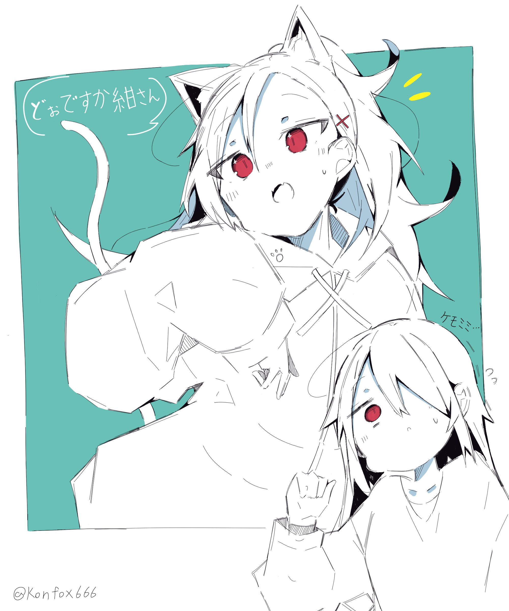 コン狐 (@konfox666) / X