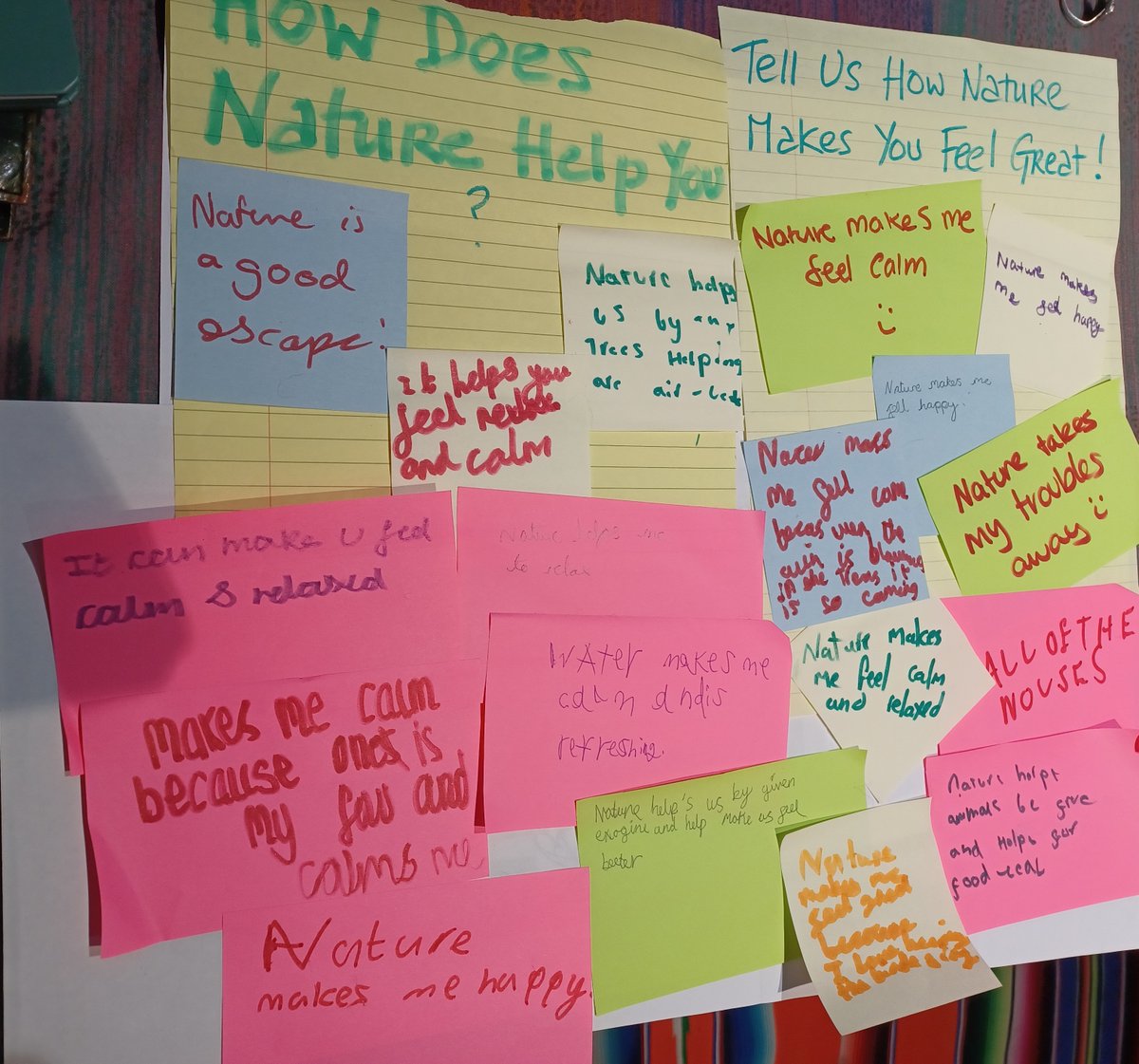 A great day last week at the Young Carers In Herts Conference <a href="/ycherts/">Young Carers Herts</a> <a href="/HMWTBadger/">Herts & Middlesex Wildlife Trust</a> I met with lots of lovely young people and loved their responses to these questions:
How Does Nature Help You? Tell Us How Nature Makes You Feel Great! #natureconnections #socialprescribing