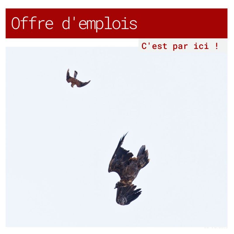 On recrute 🤩
Rejoignez-nous et intégrez une sacrée équipe ! 😉
5 postes sont à pourvoir actuellement : (secteurs : aménagement et transition énergétique ; agriculture ; Espace Naturel Sensible ; musée Préhistoire)  
parc-du-vercors.fr/emplois-et-sta…