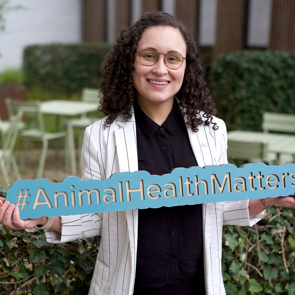 Happy #InternationalWomensDay! 

Here's to our women in the #BrusselsBubble working to promote health and welfare for all animals in the EU 👏👏