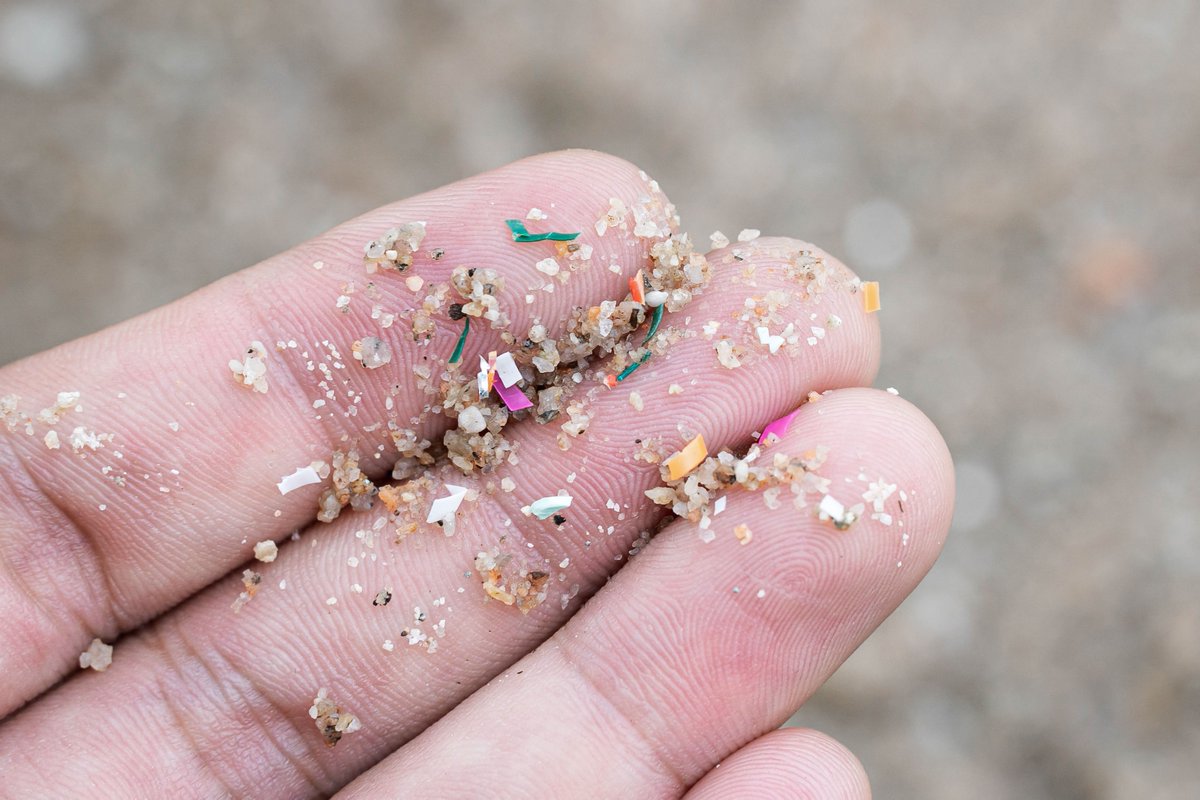 Curious about how plastics are reshaping our planet's history? Dive into the latest scientific paper by researchers from our Member @lheilv, exploring the role of microplastics as potential global age markers! Read the full article 👇science.org/doi/10.1126/sc…