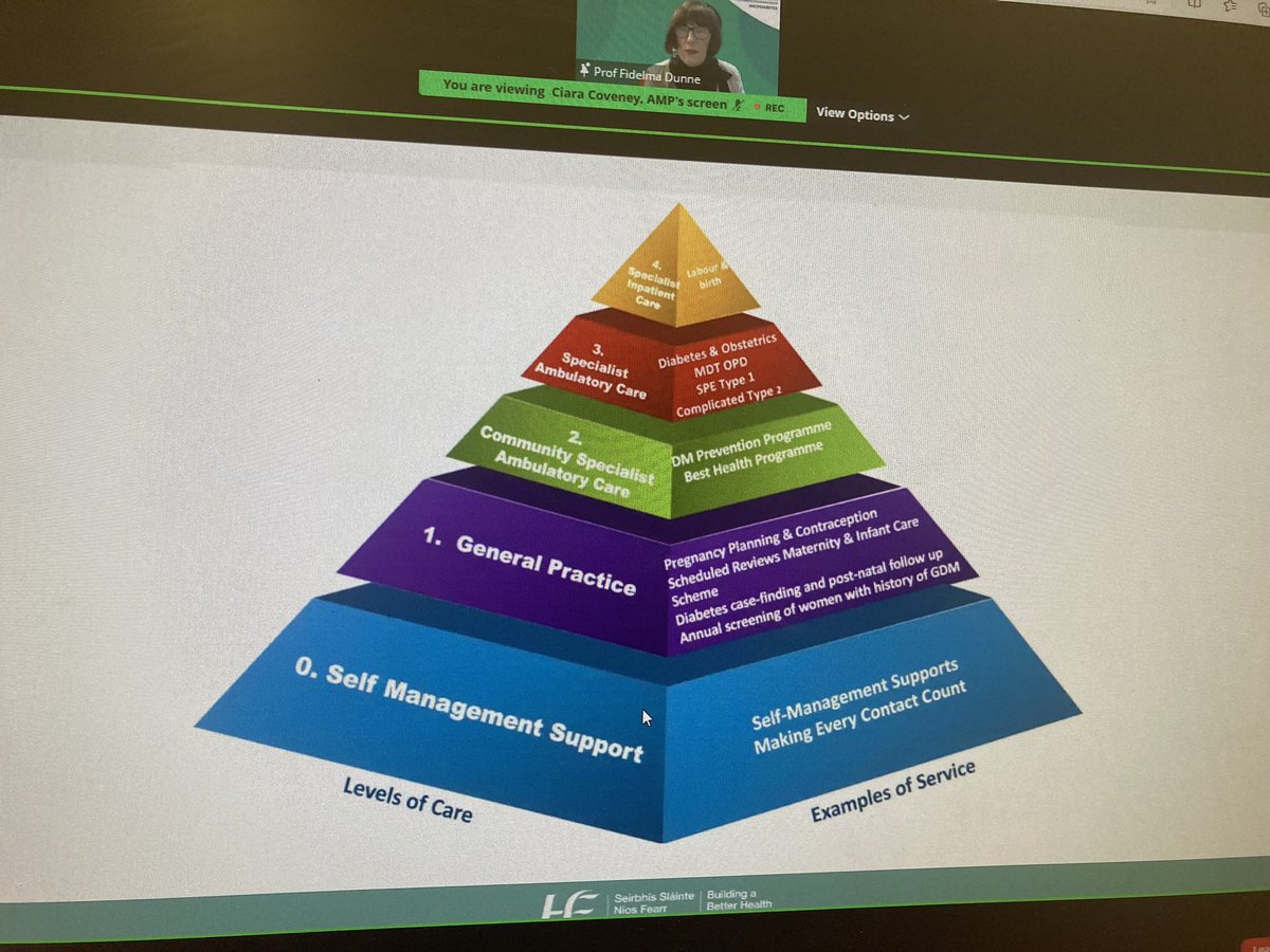 The role of the ANP/CNS/AMP/CMS is crucial in the MDT in the management of Diabetes #NCPDiabetes at the launch of the NCP Diabetes Documents @Physicianeer @DonnellyStephen Chronic disease management hubs have led to 90% of pts with DM self managing at home @StJohnsHospLmk