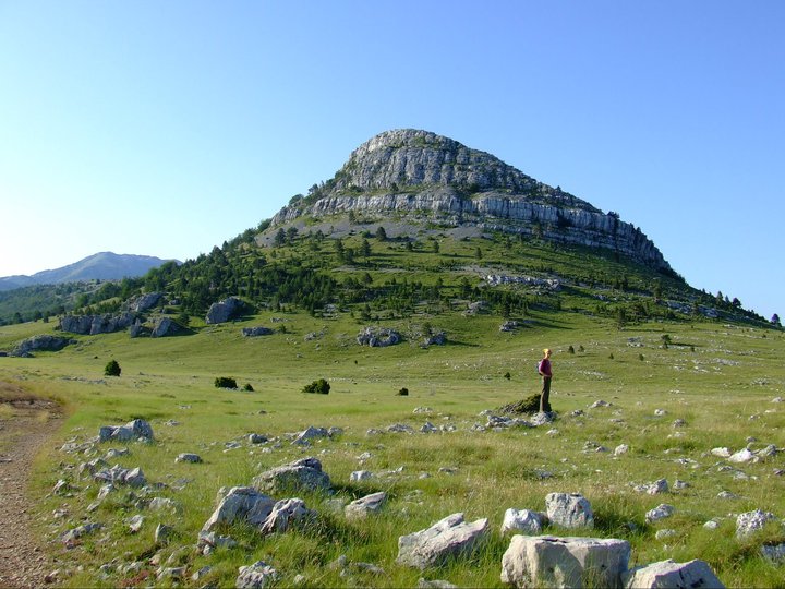 antica_c's tweet photo. Please RT Job alert
PostDoc to join our cool project EcoOpen: Empowering ecological research via open science &amp; meta-research

We have an amazing international team &amp; are full of energy to 💪 ecological research

ad https://t.co/udoVlRYFpH Pics of Croatia 4 increased engagement https://t.co/yTQgZwYLvm