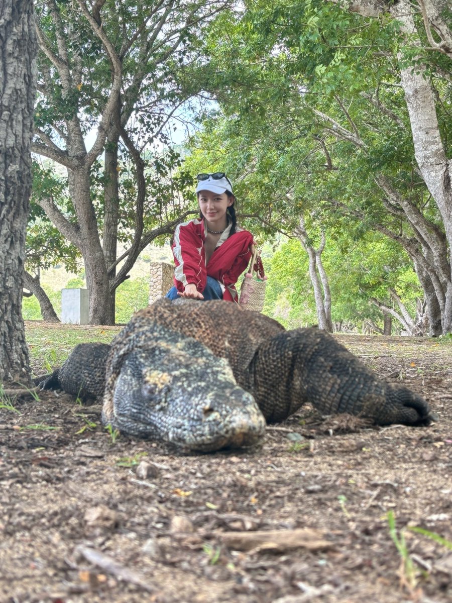 wonderfulid's tweet image. You know you&apos;re in #Komodo island when... 

Welcome to Labuan Bajo #ChengXiao! Have a lovely trip!

#WonderfulIndonesia #Cdrama