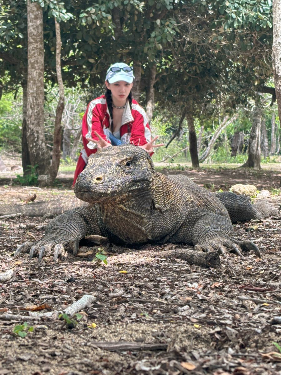 wonderfulid's tweet image. You know you&apos;re in #Komodo island when... 

Welcome to Labuan Bajo #ChengXiao! Have a lovely trip!

#WonderfulIndonesia #Cdrama