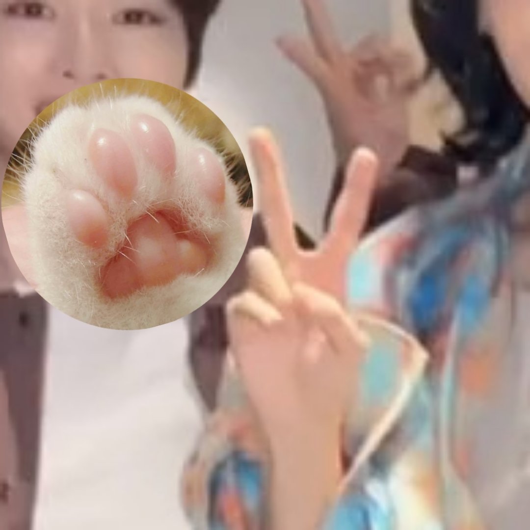 wonbin_isBaby's tweet photo. tiny paws🐾🎀🤏🏻🥺 https://t.co/2qHLl7U3Yv