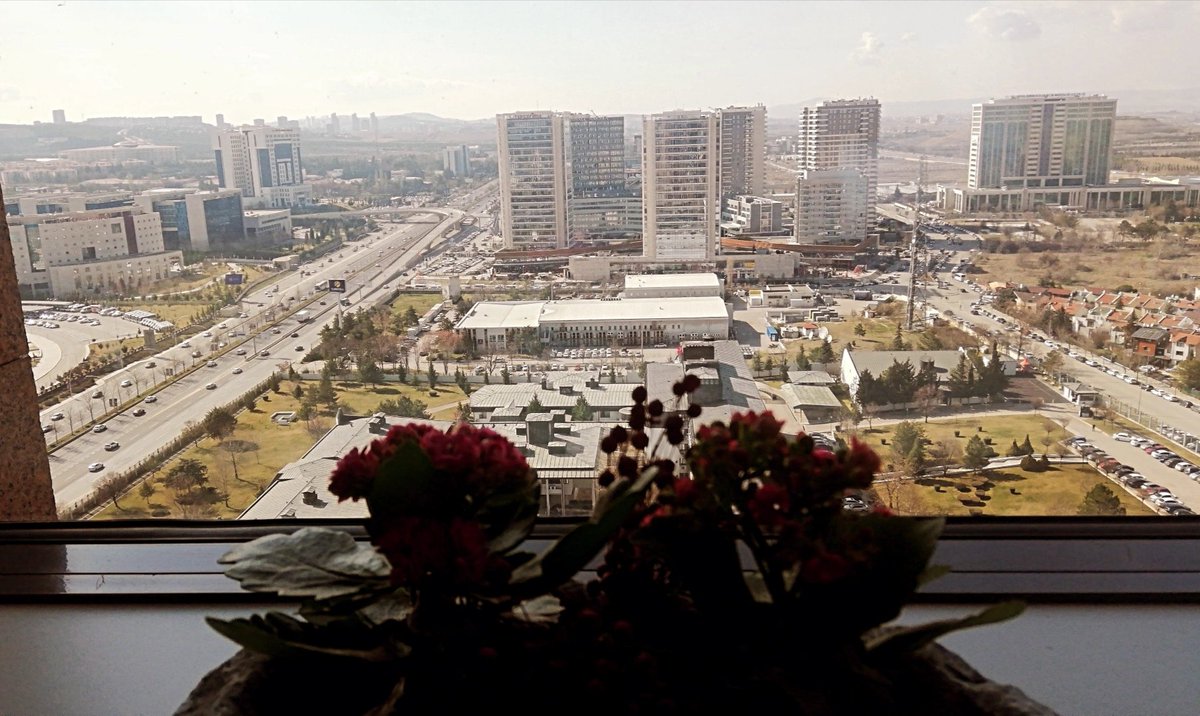 İnsanın kurtuluş parkında kola çekirdek yapası geliyor 💙