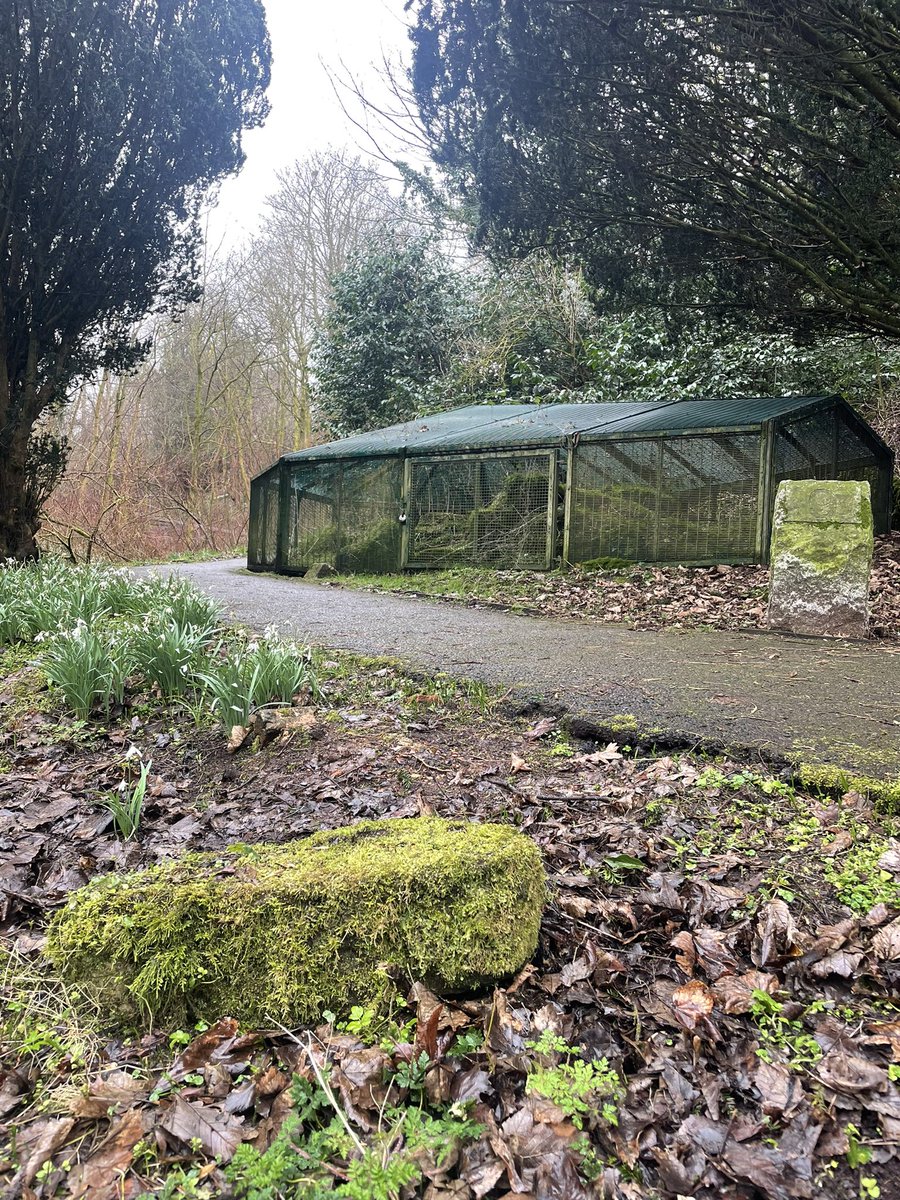 Friends of Castlemilk Park tweet media