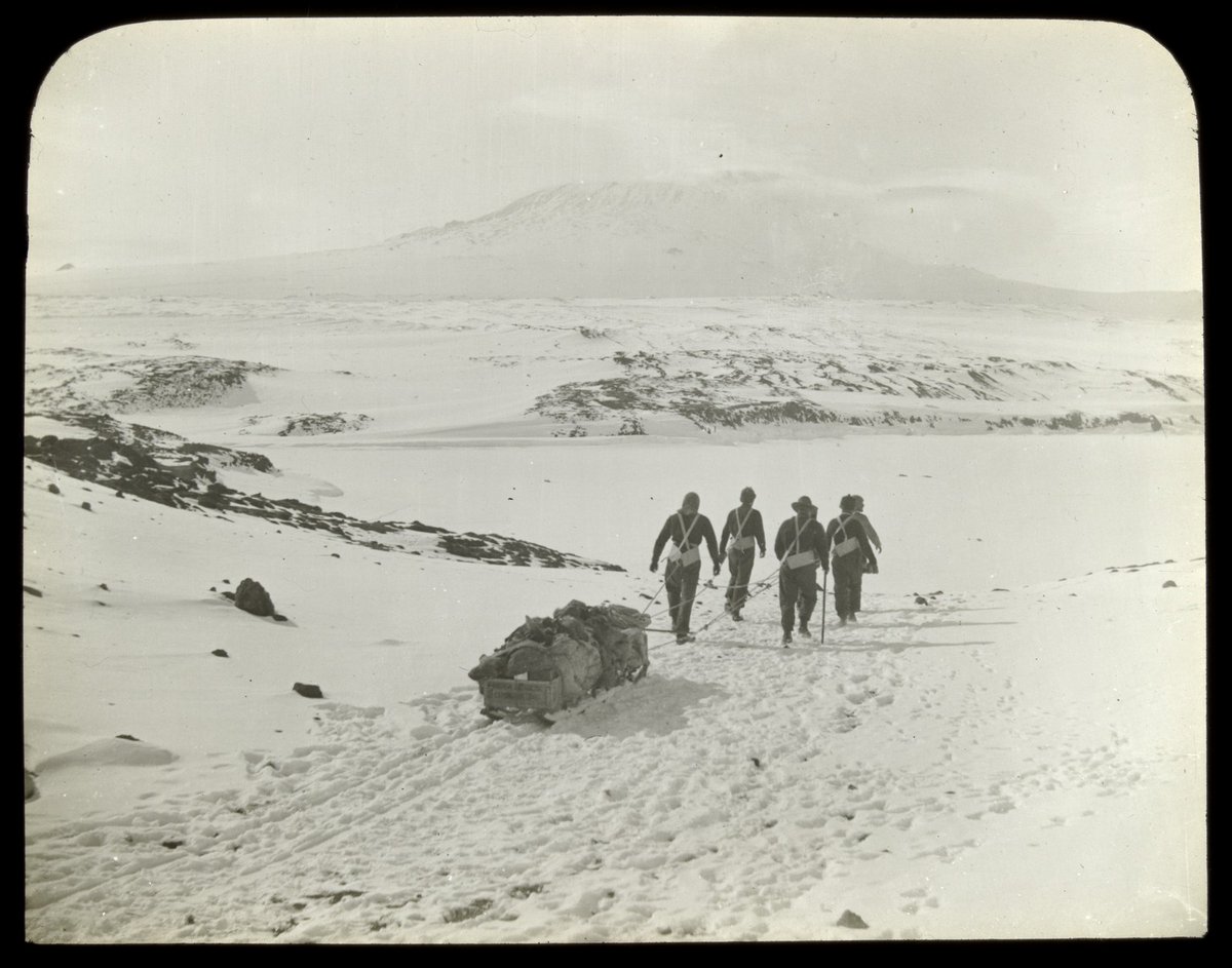 ⛏️ Epic explorations! Stories about Antarctica are as vast as the continent itself. Get stuck in on March 7th and join us online as we chart the course of Antarctic adventures through @Library_Vic collection items. slv.vic.gov.au/whats-on/early… 📷 handle.slv.vic.gov.au/10381/74800 #Online