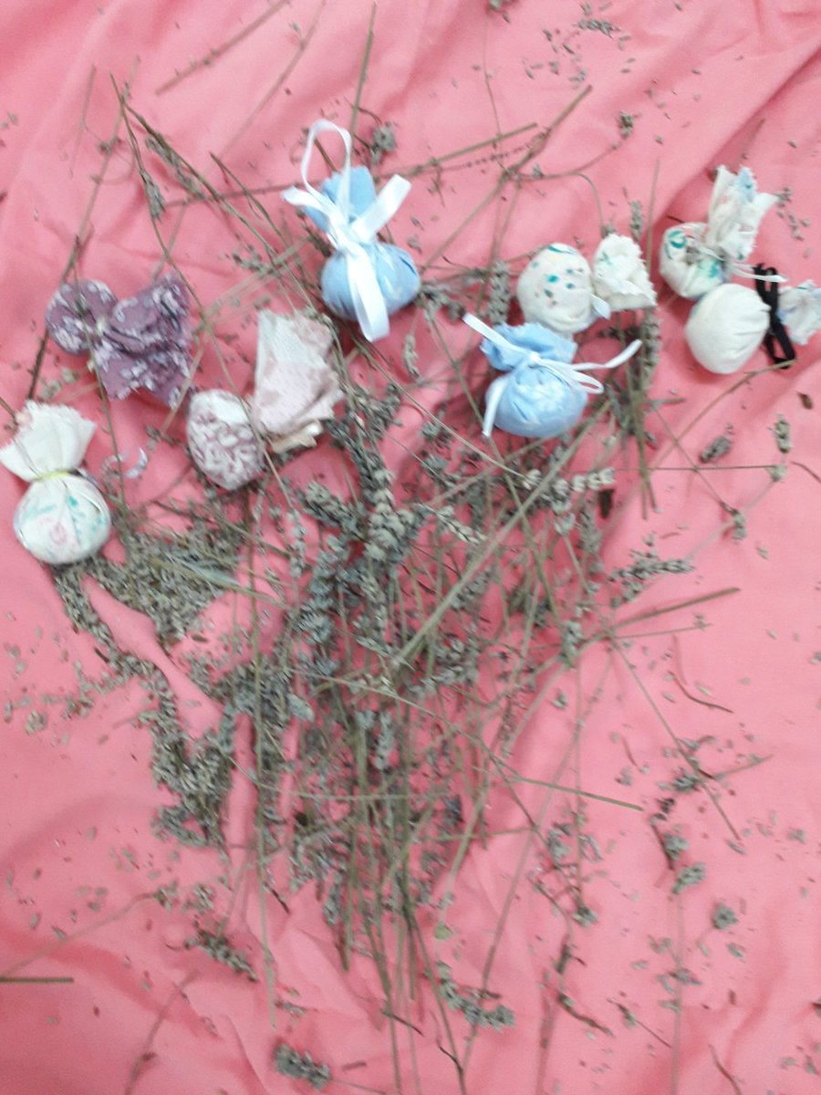 Relaxing afterschool club @SurreySqSchool making lavender bags 1 to keep & 1 to gift on to someone who has been kind 😊 Lots of chat about 🐝🦋 #KindnessMatters #insects #wellbing #recycling #newskills #Enjoyment