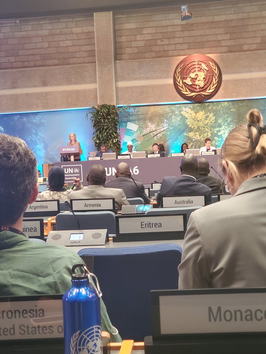 Opening plenary for the MEAs with a view to enhancing the relationship with MEAs by strengthening convergence of actions and sharing of experiences, while also increasing visibility of the MEAs #UNEA  <a href="/UNEP/">UN Environment Programme</a> <a href="/narefke/">Natural Resource Forum</a>