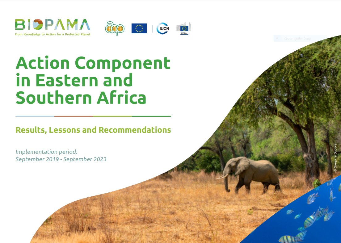 🦓We are excited to announce the release of the BIOPAMA Impact Report, for Projects in Eastern and Southern Africa Region. This report highlights significant achievements from the the grants and the key lessons learned. You can read the report here ➡️bit.ly/Biopama2024Act…