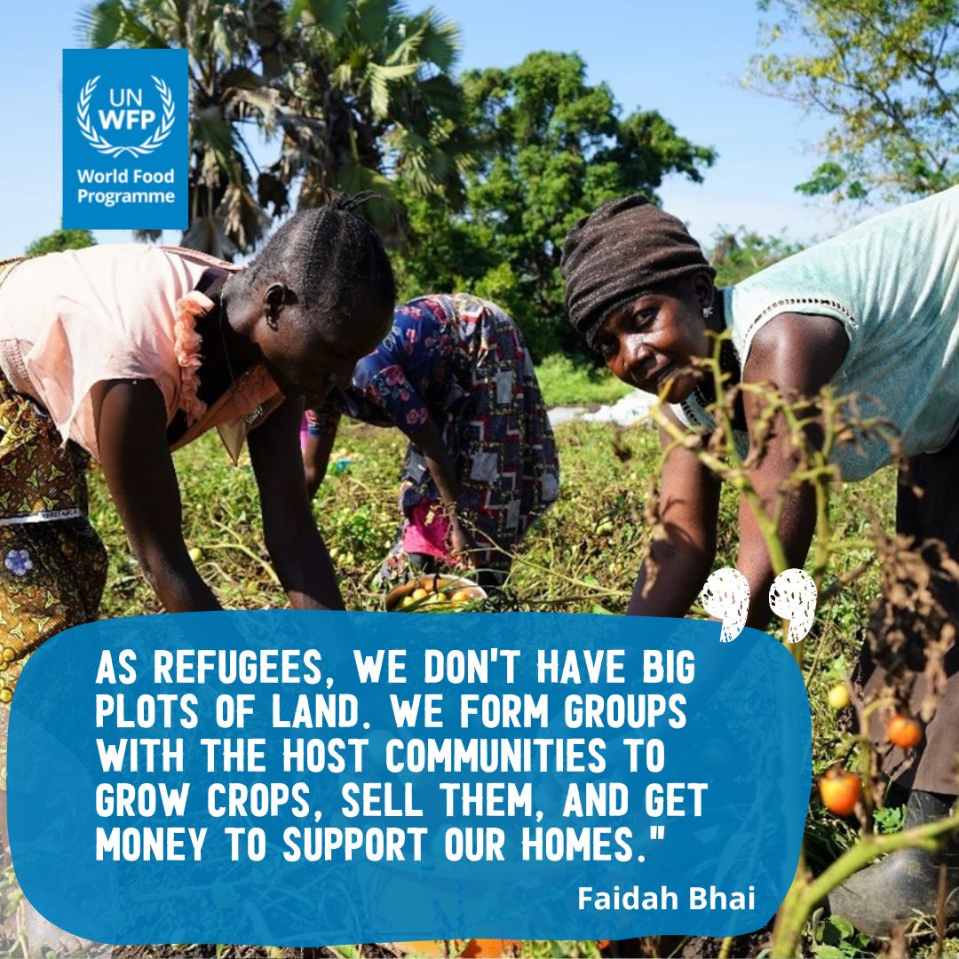 WFP_Uganda's tweet photo. #Uganda hosts the highest number of refugees in Africa. WFP is enabling refugees and the communities that host them to put food on the table through the #SelfRelianceModel
#BuildSelfReliance https://t.co/sPGw9VfJuJ