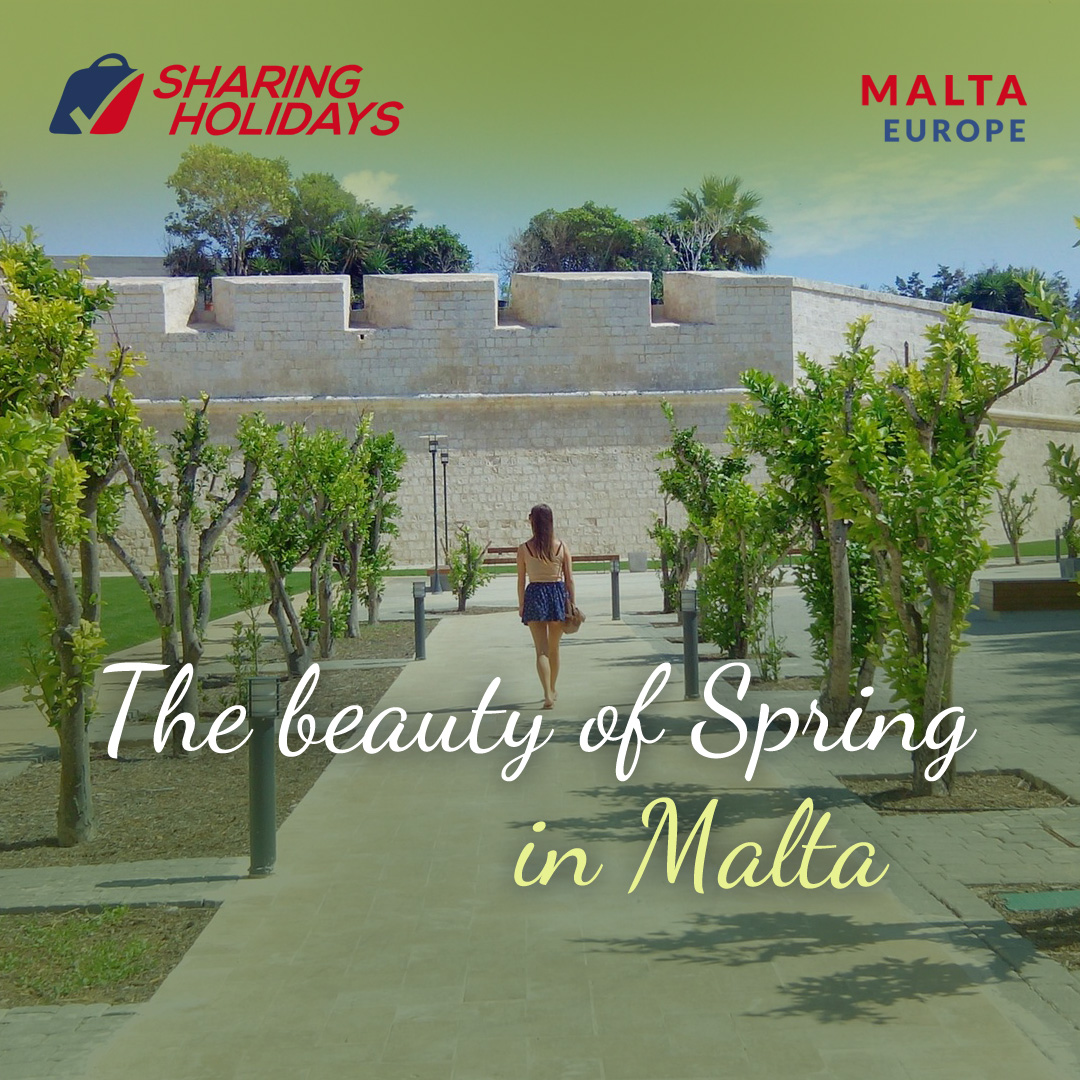 SharingLtd's tweet photo. As winter bids farewell, the Maltese Islands awaken to a symphony of colours and scents. Springtime in Malta is truly a feast for the eyes and soul.
Malta 🇲🇹
https://t.co/uzT4XBVTn7
#springinmalta #MediterraneanMagic #springsplendor #NatureInBloom #MaltaMagic #springtimeserenad https://t.co/tr5MBIYFDh