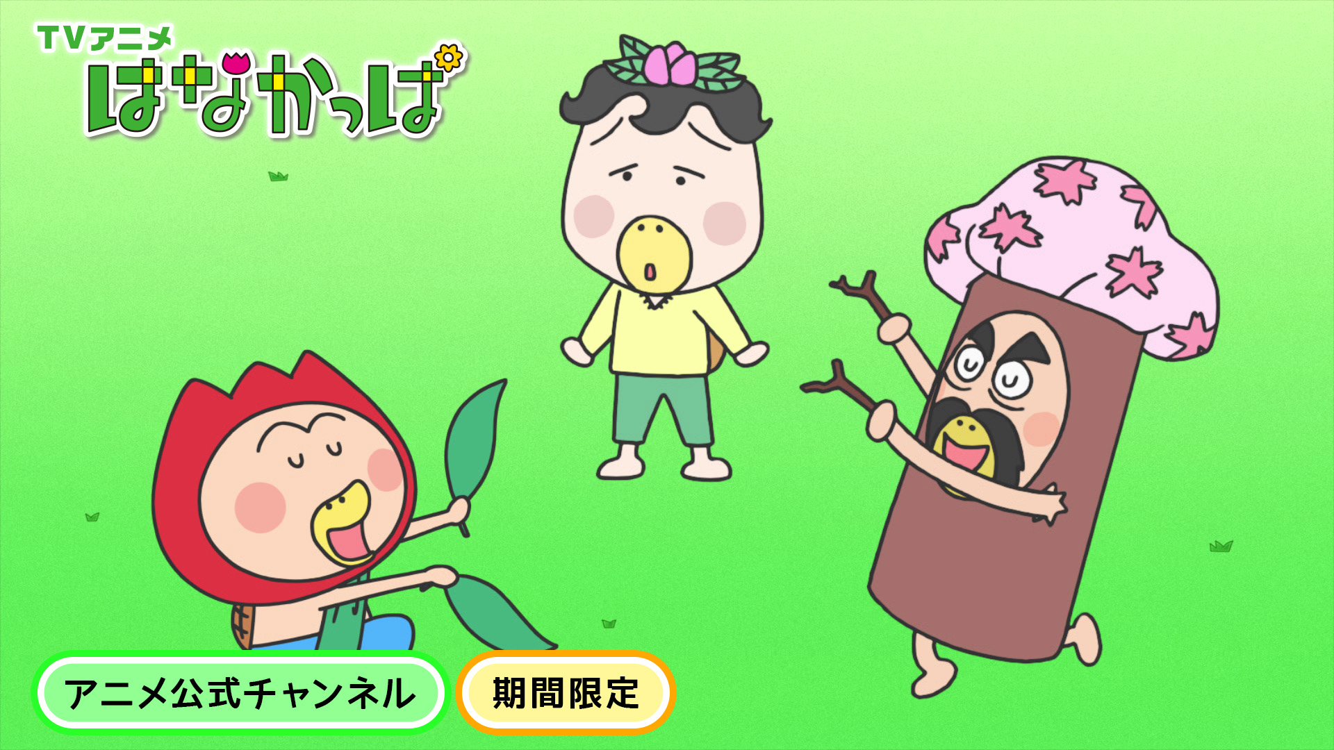 はなかっぱ on X: 