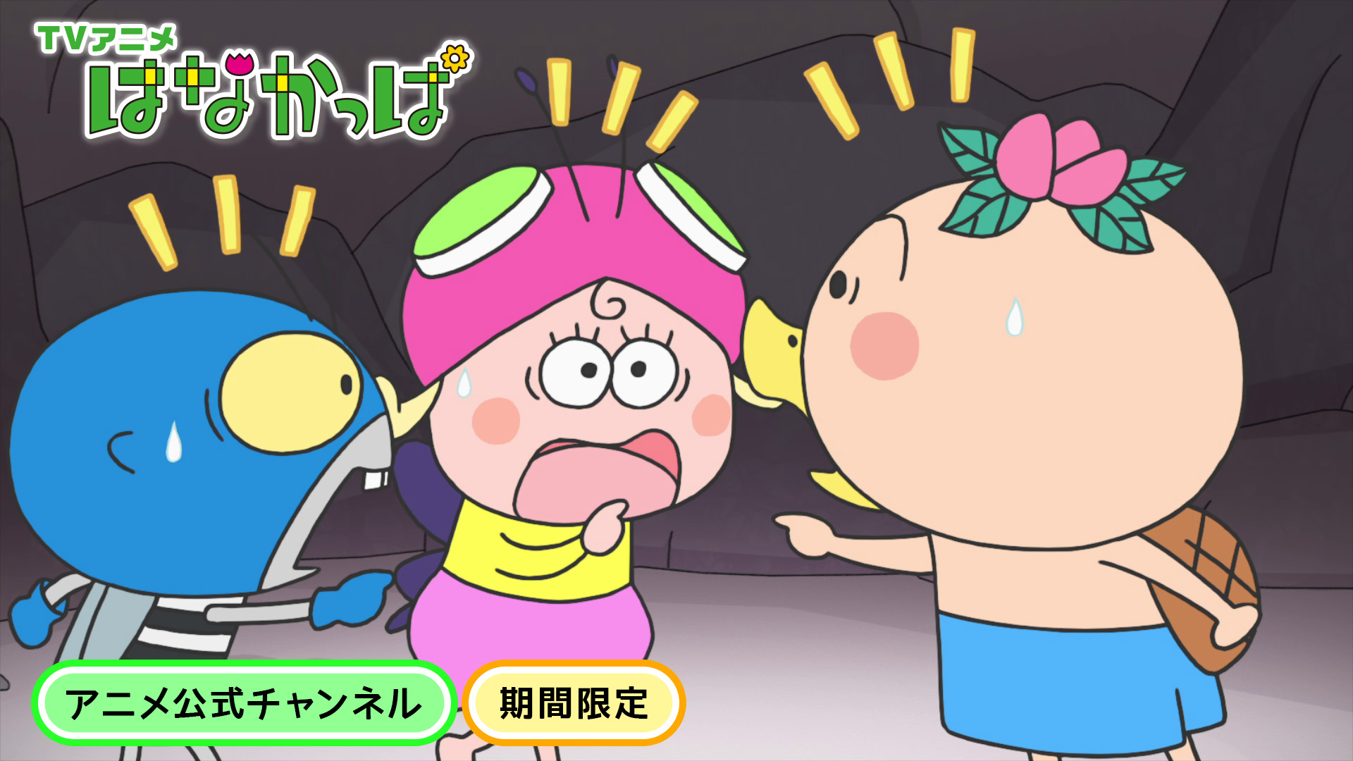 百貨店福袋 はなかっぱ on X:  赤ちゃん・幼児のおもちゃ