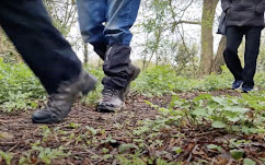 Hertfordshire Walker tweet media