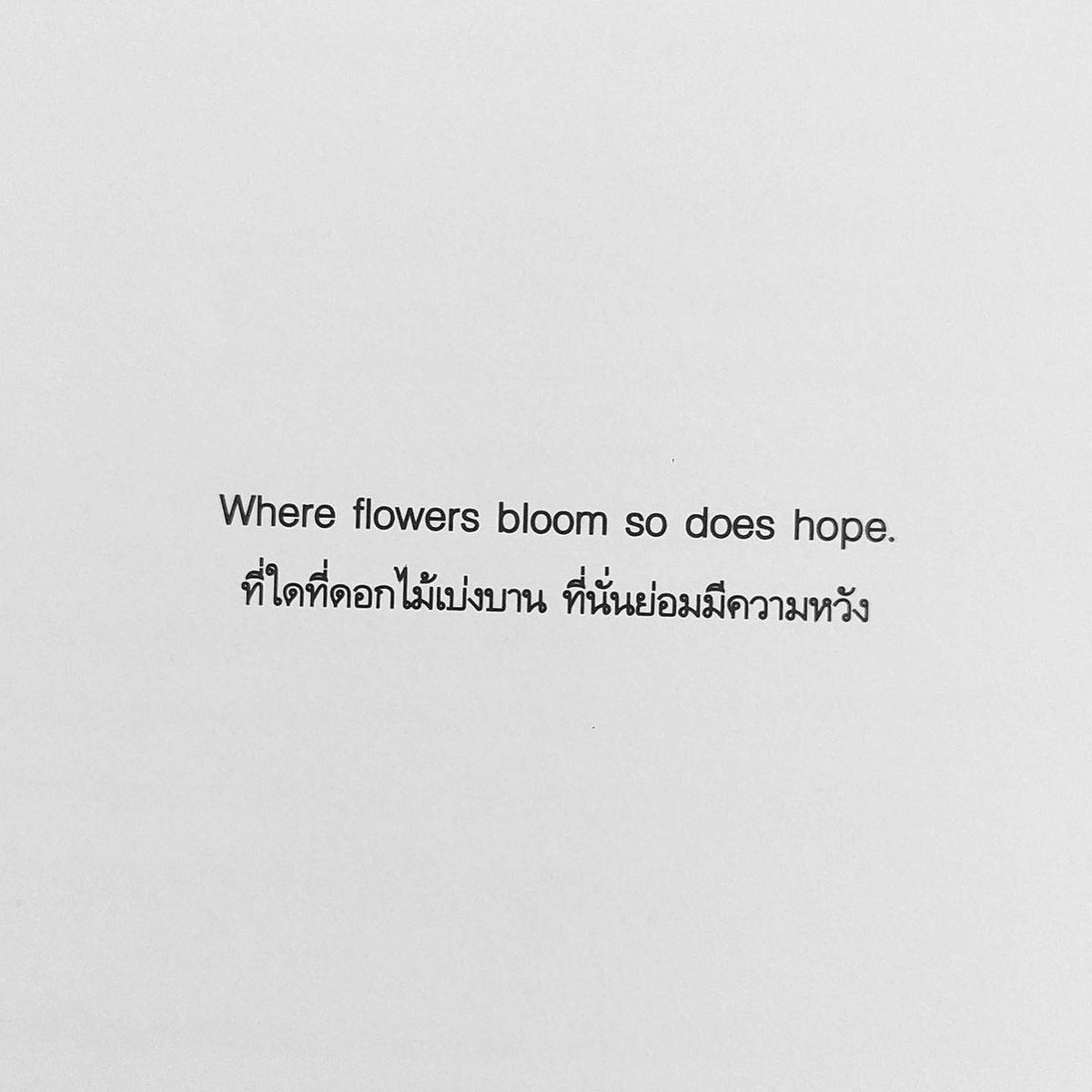 itmydefinition's tweet photo. #ดอกไม้ถึงคุณ :-) https://t.co/3VK8qc9SGJ