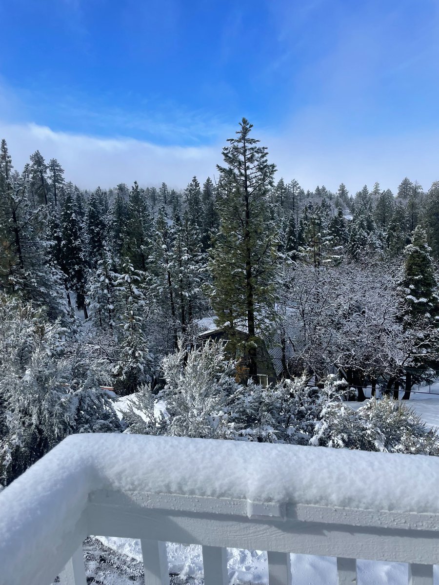qamanda99's tweet photo. 🎿⚡️🌨️🚡 https://t.co/yzrSJbfFr8