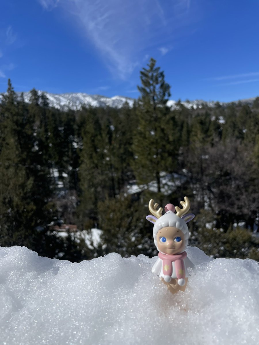 qamanda99's tweet photo. 🎿⚡️🌨️🚡 https://t.co/yzrSJbfFr8