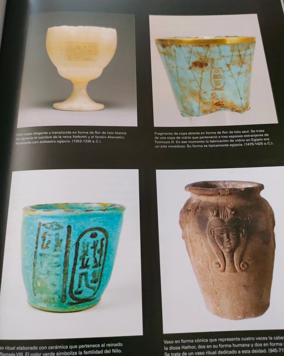 📚 Modestament, recomano el darrer volum de la Bullipedia sobre la història del vi. Fa bona la màxima de "si no sabem d'on venim, no podem saber on som".

Les il·lustracions són molt boniques, les curiositats són amenes i la història inclou molts aspectes poc tractats 👌🏼