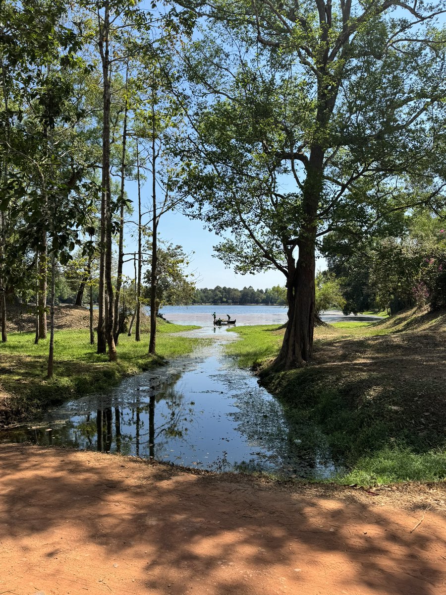 Paul Bray tweet media