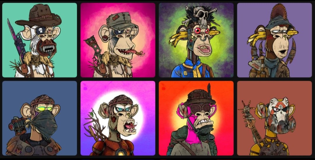 TCJockeyClub's tweet photo. @KoiBudG @apocalypticapes @apocalyptratns @AAPEQueens GN Koi our #TCJC Great 8 x2 will see you tomorrow https://t.co/ZhVK0utebe
