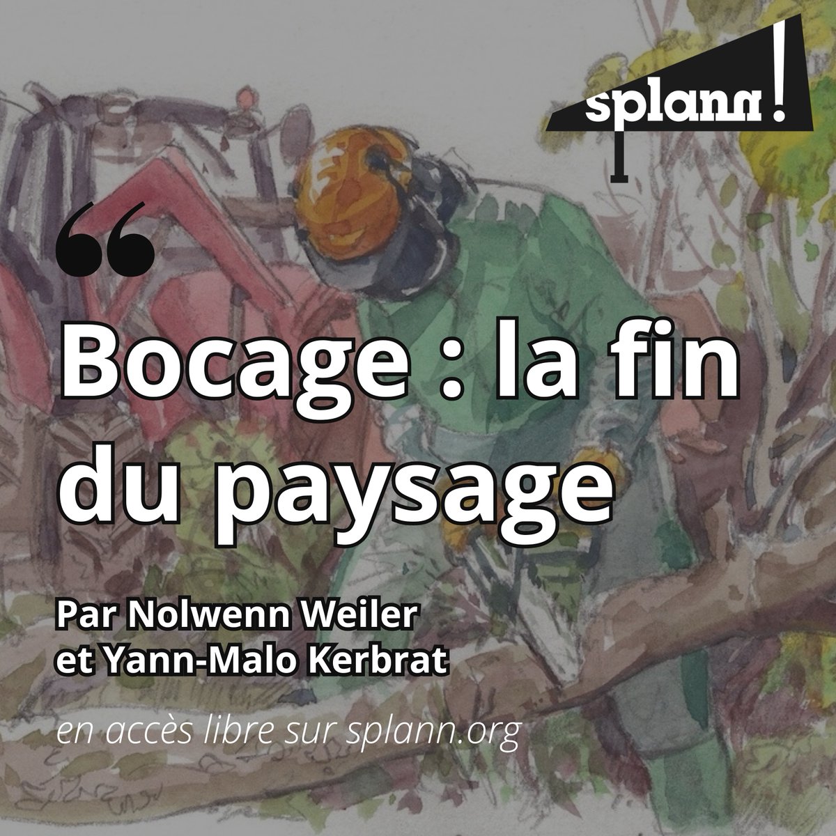 Splann ! Lanceur d'enquêtes tweet media