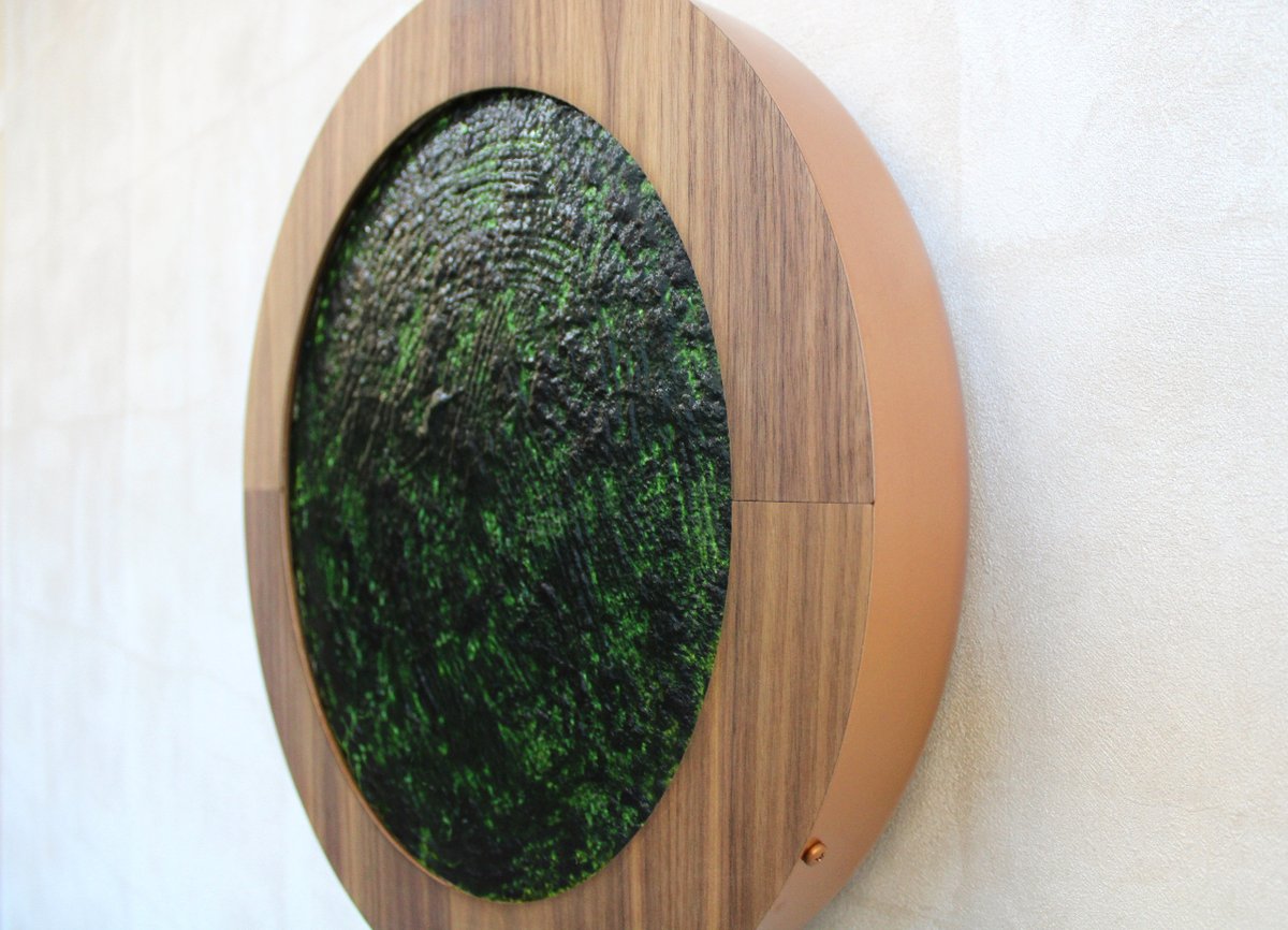 🌱 Big news! Our algae picture for air purification just got an upgrade to Version 2.0! 🚀 Better room climate, enhanced pollutant filtration, and a sleek new design. Excited to launch a crowdfunding campaign soon. Stay tuned for a breath of fresh air! #CleanAirRevolution