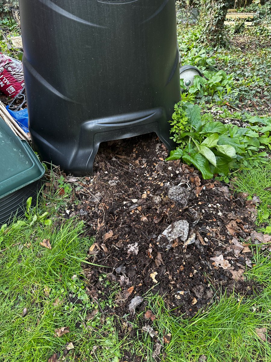 Hedgehog Cabin tweet media