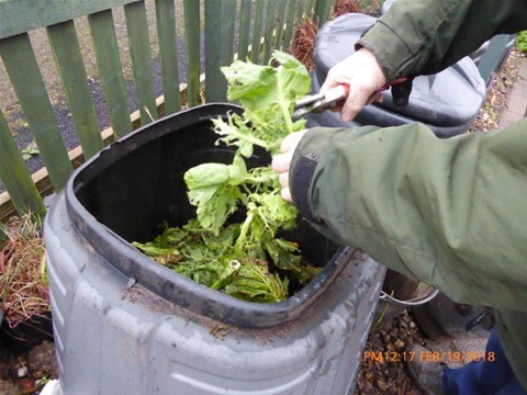 Hedgehog Cabin tweet media