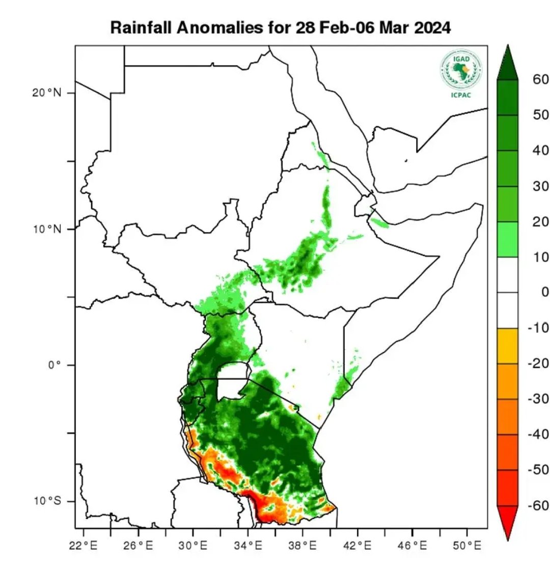 Wet conditions expected over the bigger part of the great horn of Africa from 28th February to match 6th 2024, as the March to may (MAM) season begins. Advisory @icpac_igad.