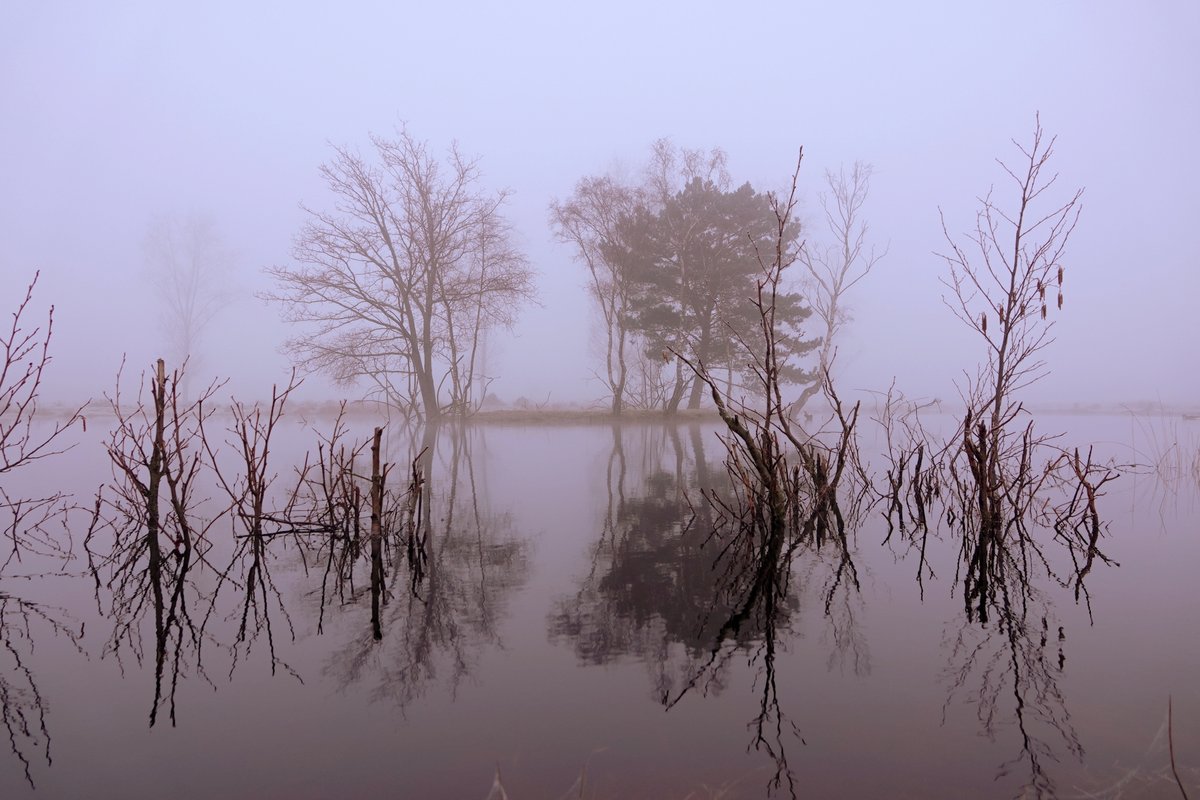 #vrtweer goedemorgen, mist met lichte vorst gaf vanochtend vroeg ( 07.04u.-07.32u.) lokaal gladheid in Hamont-Achel!