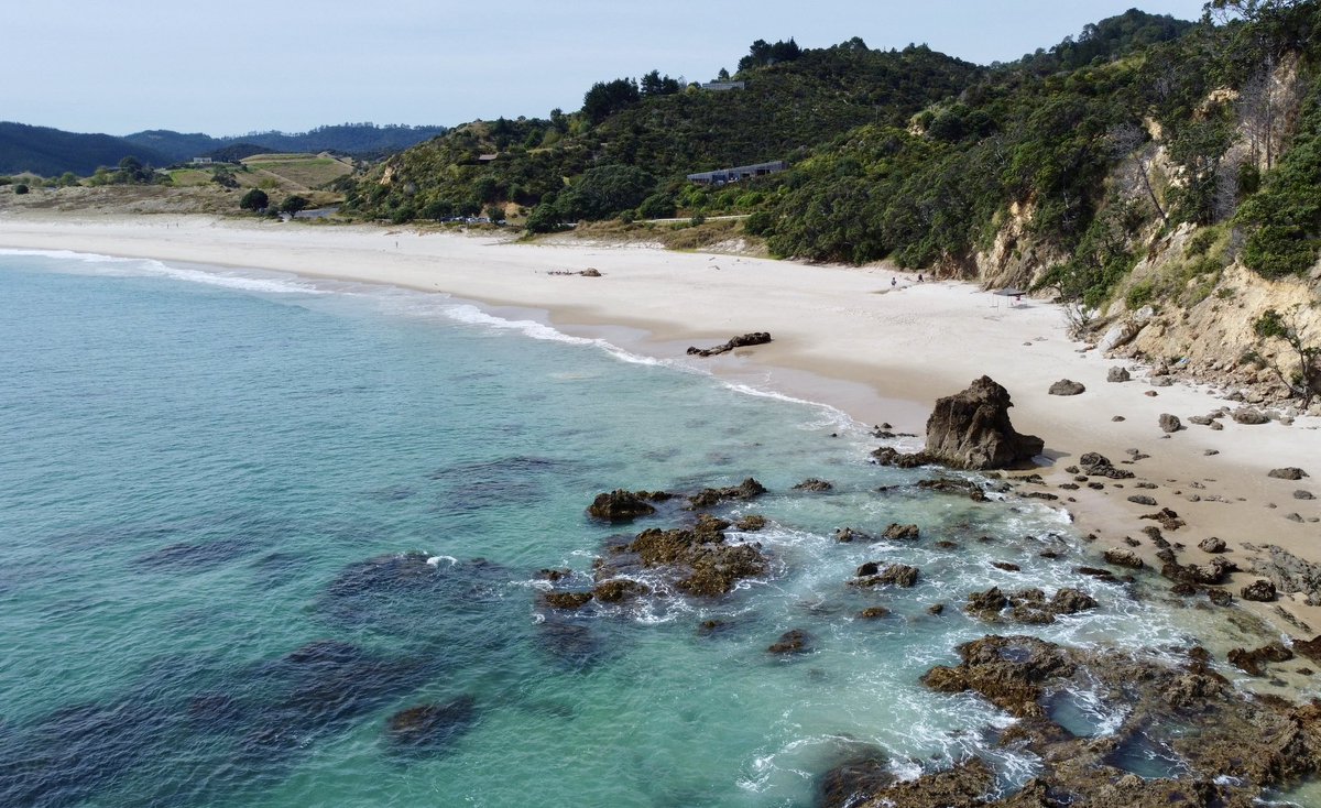 NIWA Weather tweet media