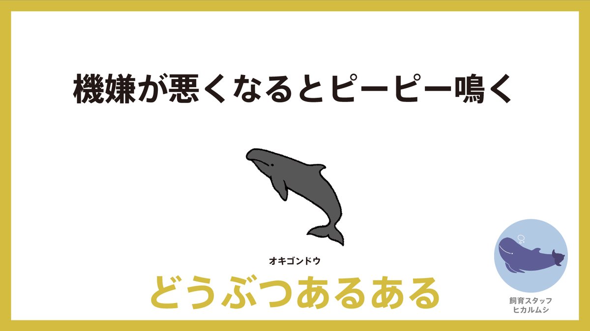 aws_official's tweet photo. #人に言いたくなる動物あるある https://t.co/5w7pO8nHRX