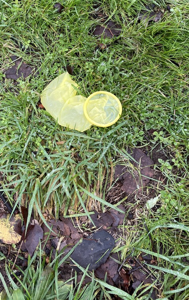 Shaakeal_Oneil's tweet photo. @PaulRiveraNews @komonews Where is Cathy Moore? What is she doing to deter the illegal sex trade activity that has taken over #LictonSprings. Day after day residents are forced to navigate a minefield of toxic sex trade trash, pimp garbage, and more. I beg her to walk our streets if she’s brave enough. https://t.co/lLW9kkyqgx