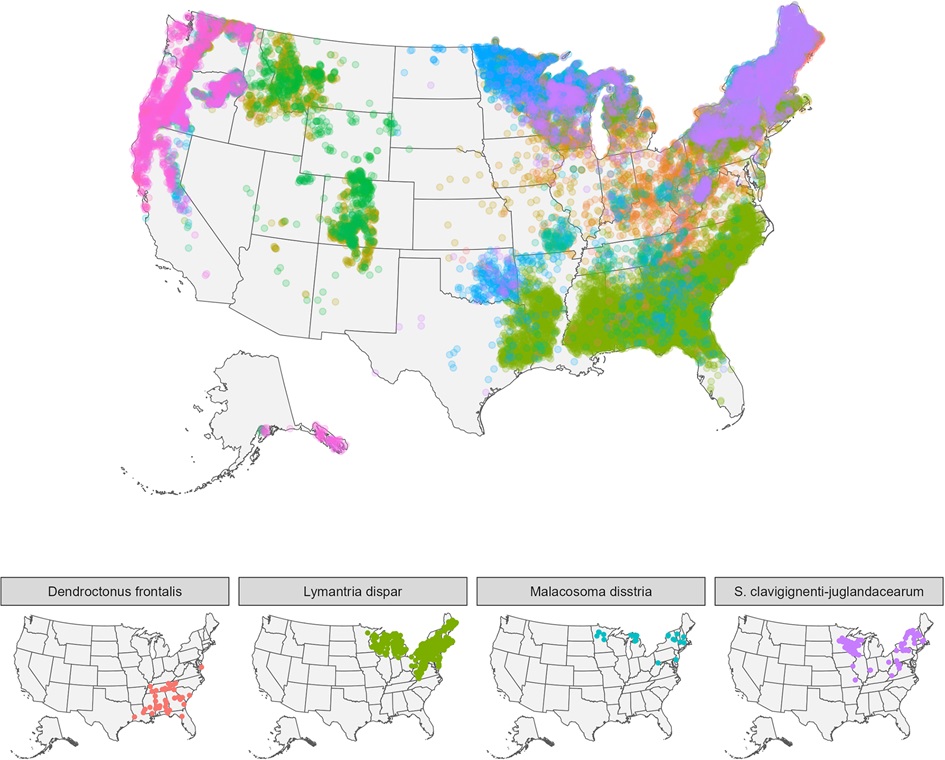 PLOSBiology's tweet photo. #Biodiversity seems to suppress pathogens & pests, but why does this #DilutionEffect vary so much? #Forest inventory data from >25,000 plots show that tree pest prevalence is controlled by both diversity & #phylogenetic composition of forests #PLOSBiology https://t.co/2eCwXbDuBH https://t.co/o5yMFFmuN8