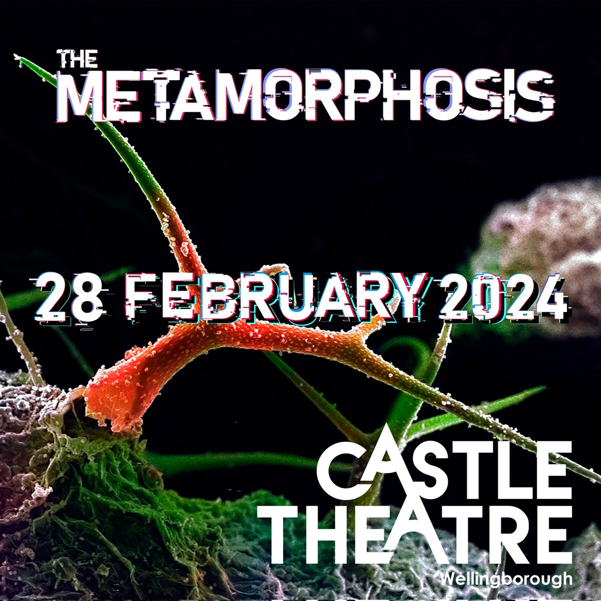 Tonight! At the Castle Theatre, Wellingborough @castletheatrewel The Metamorphosis starts at 7.30pm

Tickets on sale now

mildperiltheatre.co.uk/Tour-dates/

#theatre #kafka #themetamorphosis #drama #independenttheatre #theatreproduction  #touringtheatre  #whatsontheatre  #tourdates