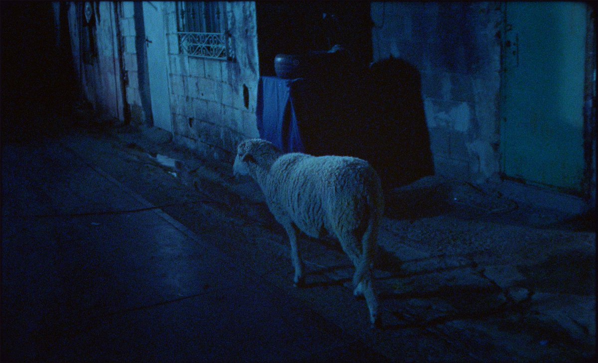 En #LaCañada, el asentamiento irregular más grande de Europa, no hay luz desde hace más de 3 años. Toni, un chico de 13 años, descubre que su mejor amigo, Nasser, se marcha para siempre.

#AunqueEsDeNoche  #Corto #Cortometraje #EvenThoughItsNight #38PremiosGoya