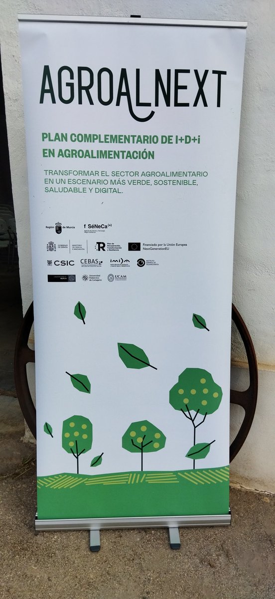 Arranca en el <a href="/imida_murcia/">IMIDA Murcia</a> la Jornada de difusión de los proyectos AGROALNEXT-MU con la intervención de @rubirademo , Consejera de <a href="/RM_Agua/">Consejería de Agua, Agricultura, Ganadería y Pesca</a>. Participan también <a href="/CEBAS_CSIC/">CEBAS-CSIC</a> , <a href="/UPCToficial/">Universidad Politécnica de Cartagena | UPCT</a> y <a href="/UMU/">Universidad Murcia</a> .
#AGROALNEXT