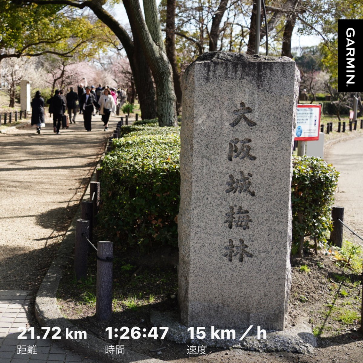 fu_pin1220's tweet photo. 大阪マラソンの疲れがまだあるので
ランニングはせずに大阪城まで
まったりポタリング
＋写真パシャパシャしてきました
梅が綺麗で癒されましたなあ
#idiom1
#α7c
#SEL35F18F https://t.co/tX1XXP5d91
