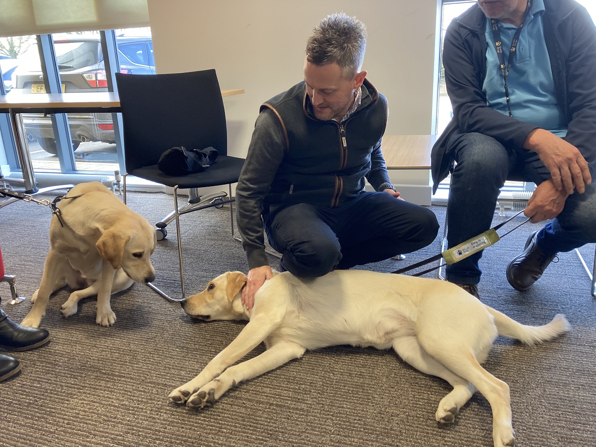 Branston Seed tweet media