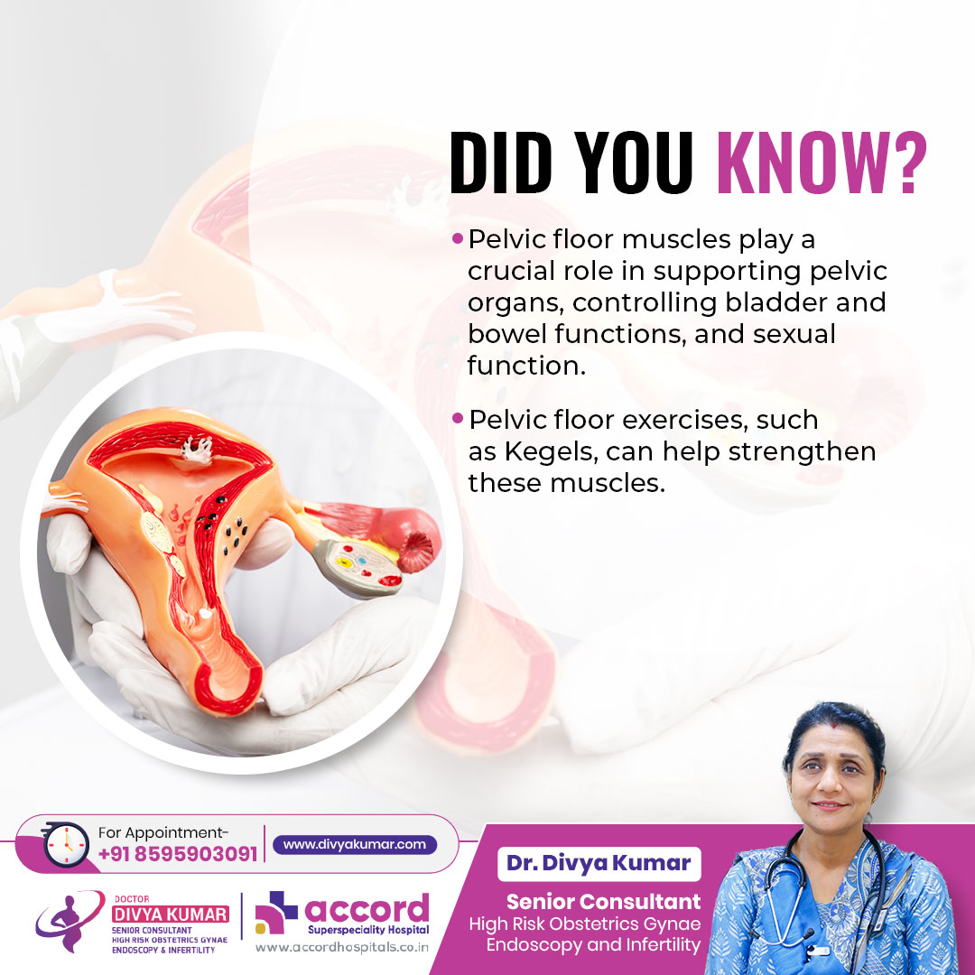 DrDivyaKumarOBG's tweet photo. Did you know? Pelvic floor muscles play a vital role in core strength and stability. Let's dive into easy exercises to keep them toned and resilient.
#gynecologist #drdivyakumar #accordhospitalfaridabad #womenshealth #pelvicfloorhealth #pelvicfloormuscles #pelvicstrength https://t.co/R9yseyhFx7