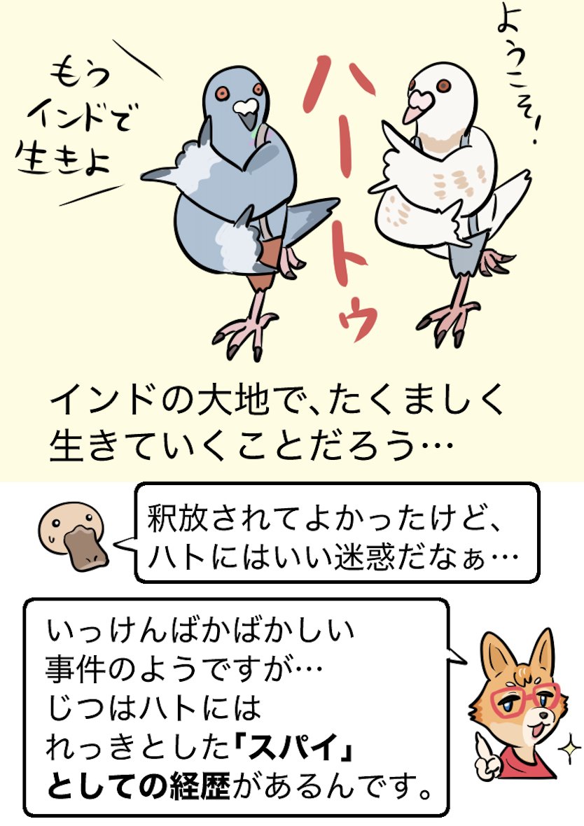 縦読みマンガ(Fliptoon)形式の #いきものニューストゥーン はこちら↓。スマホで読みやすいよう再構成&加筆したのでチェックしてね(おまけのハト知識もあるよ)
https://t.co/bgpesmOl8R 