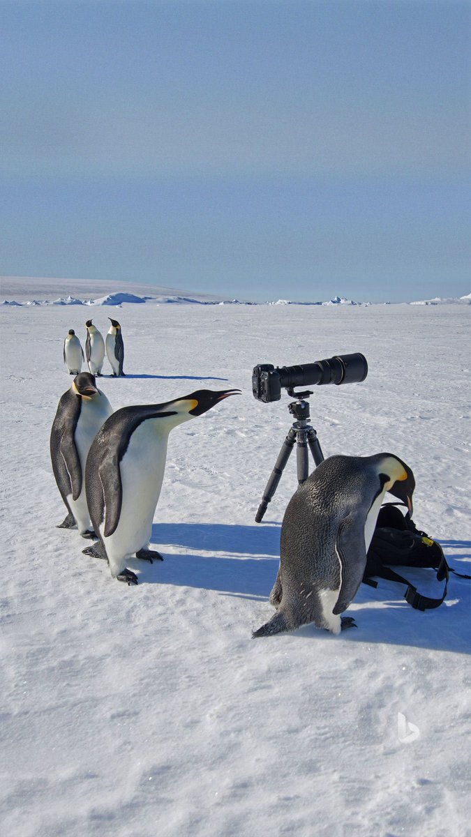 fossandlinux's tweet image. We use zoom lenses #linux