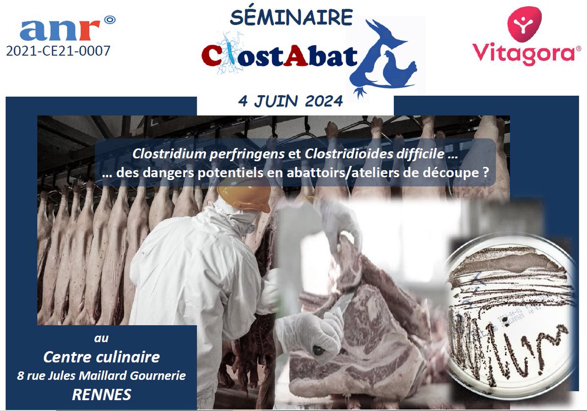 InstitutElevage's tweet photo. Agenda 📅 | Séminaire #ClostAbat 🥩
✅ Clostridium perfringens et Clostridioides difficile, des dangers potentiels en #abattoirs / ateliers de #découpe ?
📅 4 juin
📌 A Rennes
Inscription obligatoire avant le 24 mai
ℹ️ Pour en savoir plus : https://t.co/Q6W6lFuBcC
#SQCV_Idele https://t.co/3H57GDqWvb